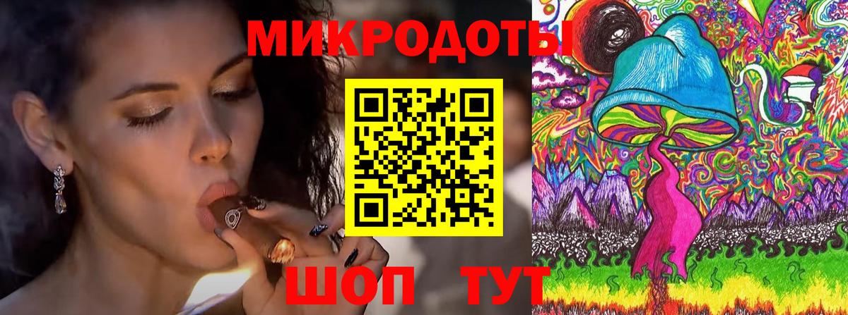 Псилоцибиновые грибы Psilocybe  Вход с VPN  Кимры 